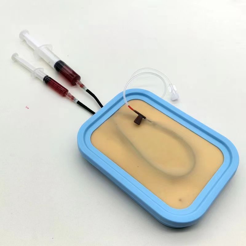 Venipuncture Training Kit Sili - đánh giá và giá Model Kit Tools